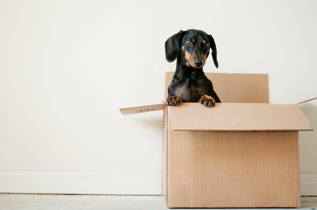 moving into new home