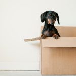 moving into new home
